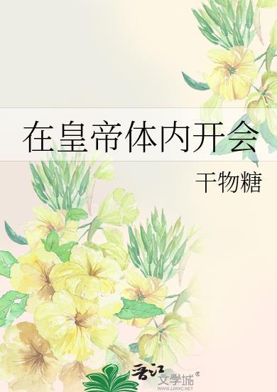化外奇缘戏词