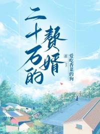 二十万的赘婿