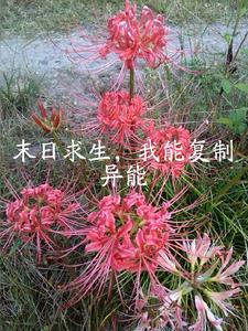 过路阴阳全文免费阅读笔趣阁