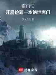 海贼王之船之精灵