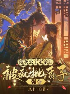 漂亮小甜O认错男友了双洁吗
