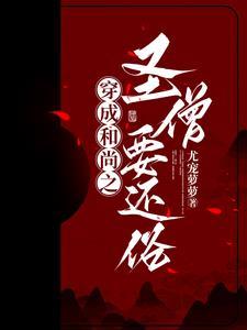 偷风不偷月by北南讲的是什么