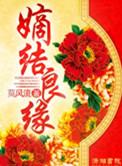 匹夫的逆袭百科