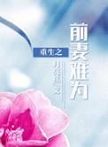 重生之前妻难为