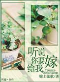 我爱你只是交易古木讲的什么