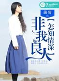 如懿传之凤临天下剧情介绍