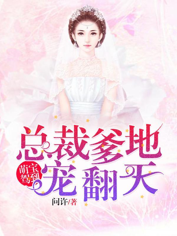 一品茶美人txt