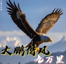 藐视的藐
